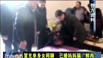 网聊娱乐202,揭秘网络社交新趋势，畅享虚拟互动盛宴